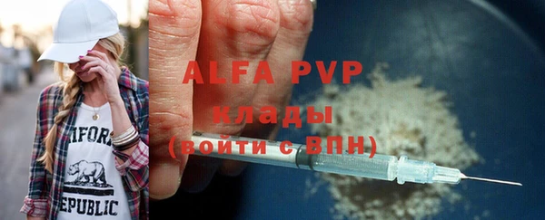 гашик Алексин