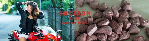 гашик Алексин