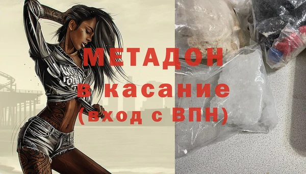 гашик Алексин
