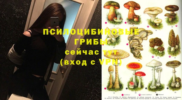 гидропоника Арсеньев