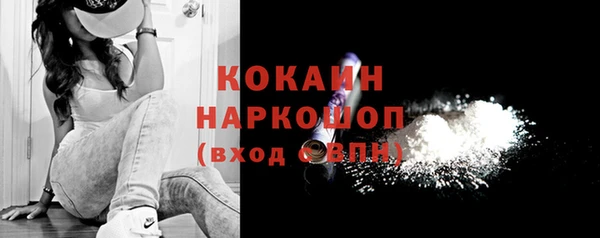 гашик Алексин