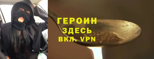 гашик Алексин