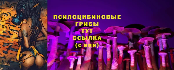 гидропоника Арсеньев