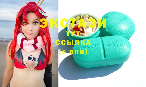 гашик Алексин
