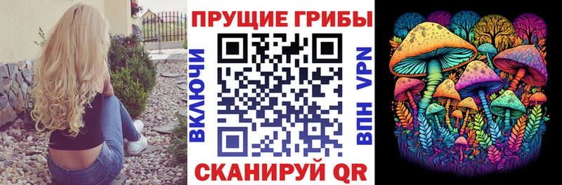 Псилоцибиновые грибы Cubensis  МЕГА tor  Курган 