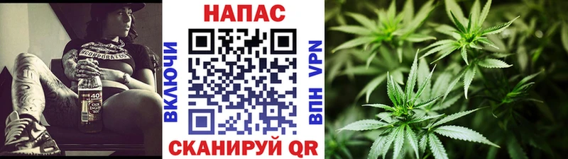Конопля планчик  Курган 